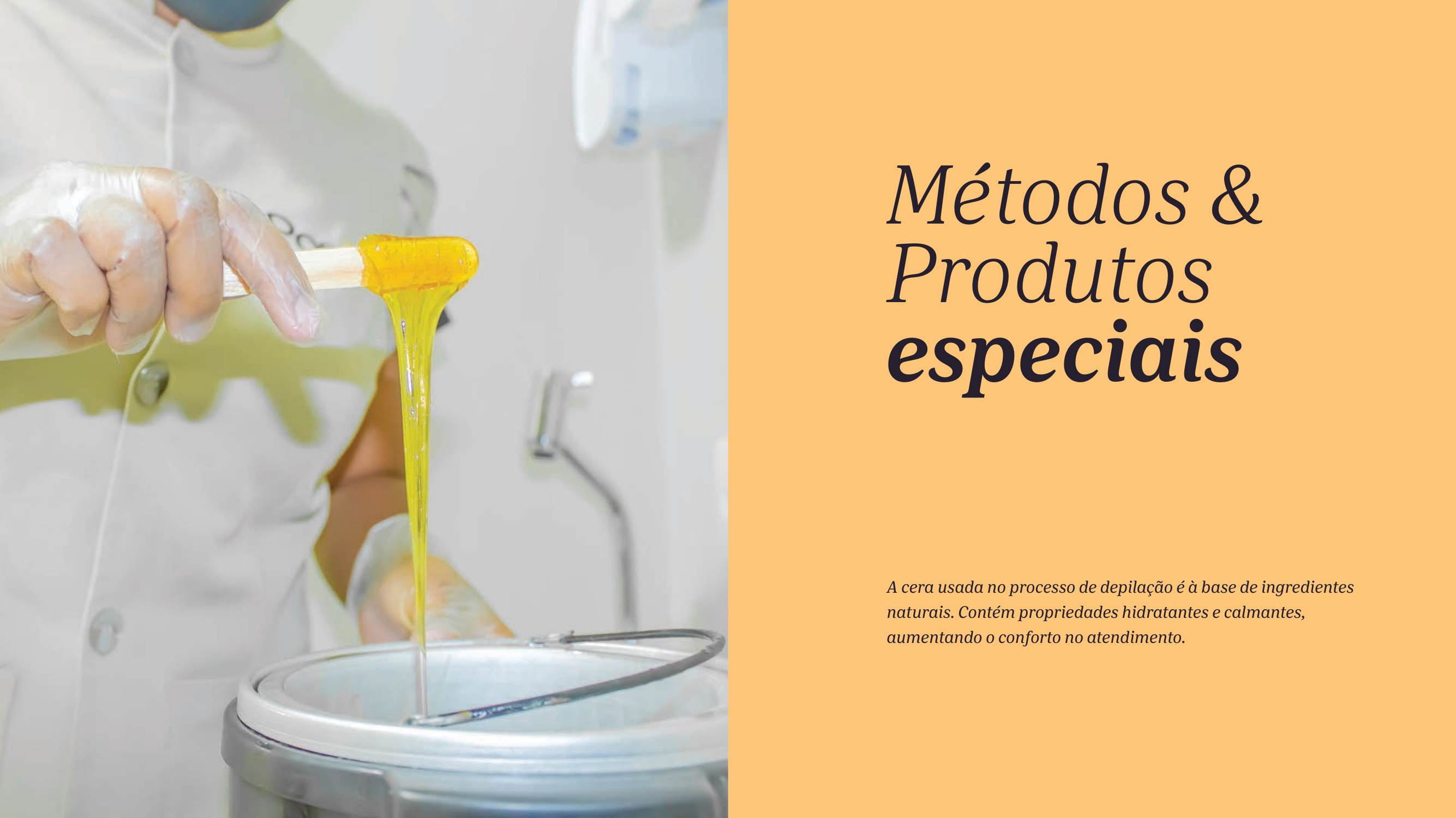 Apresentação da Franquia - Página 13